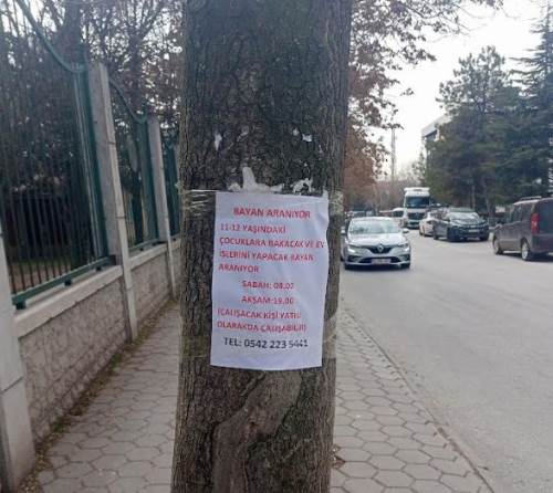 Eskişehir'de ağacı ilan panosu gibi kullandılar