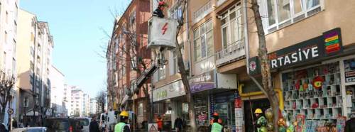 Eskişehir'de ağaçlar bahar mevsimine hazırlanıyor
