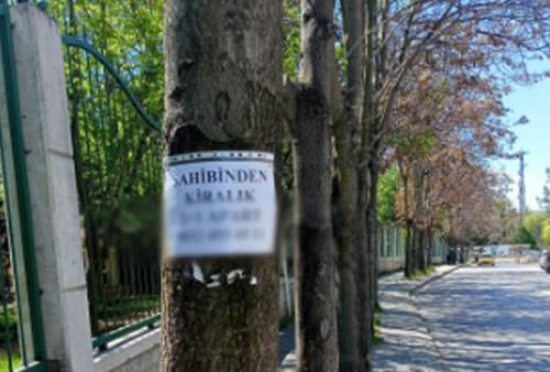 Eskişehir'de ağaçlar da ilan panosu oldu