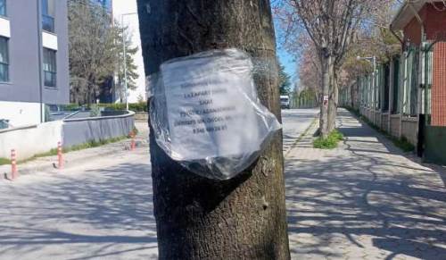 Eskişehir’de ağaçlara asılan ilanlar tepki çekiyor