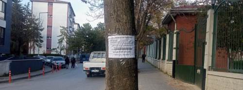 Eskişehir'de ağaçlara yapıştırılan ilanlar çevre kirliliği yaratıyor!