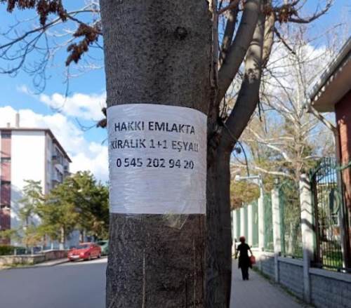 Eskişehir'de ağaçları ilan panosuna çevirdiler