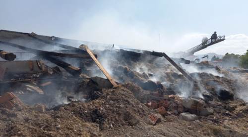 Eskişehir'de ahırda çıkan yangında hayvanlar telef oldu 