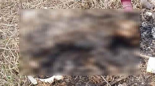 Eskişehir'de akıl almaz canilik: Yakarak öldürdü