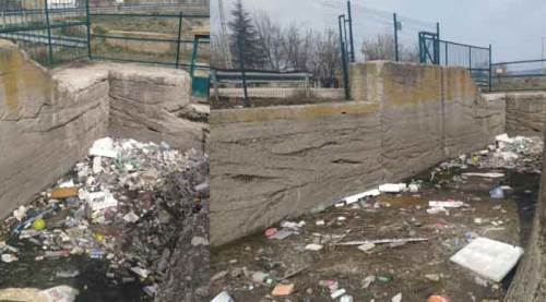 Eskişehir'de akıl almaz pislik! Sorumlusu yine biziz...