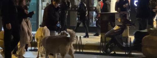 Eskişehir’de akşam yürüyüşü korkuya dönüştü: Vatandaş zor anlar yaşadı!