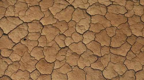 Eskişehir'de alarm çanları: Yüzde 80 azaldı!