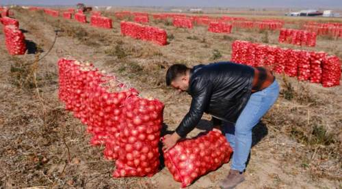 Eskişehir’de Allah çiftçiye yardım etsin