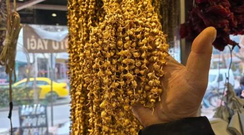 Eskişehir'de altın kadar değerli bamyayı gramla alıyorlar