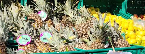 Eskişehir’de ananas merak uyandırdı! Fiyatı ve faydaları gündemde