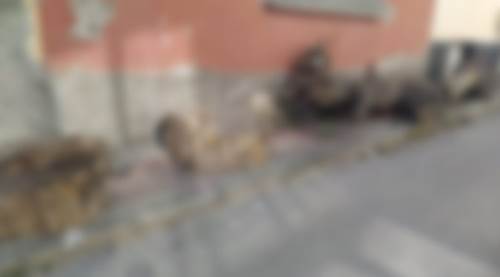 Eskişehir'de anlaşılması güç manzara...