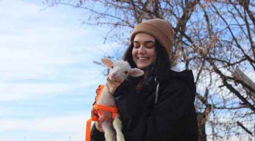 Eskişehir'de annesinin kabul etmediği kuzuya bebeği gibi bakıyor