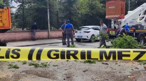Eskişehir'de aracın üzerine ağaç devrildi, faciadan dönüldü!
