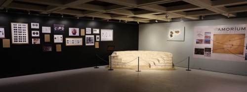 Eskişehir’de arkeoloji meraklılarını büyüleyecek sergi açıldı!