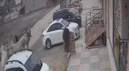 Eskişehir'de at arabalı ikili mahalleliyi çileden çıkardı