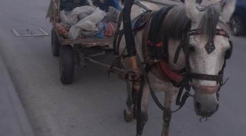 Eskişehir'de at arabasında yok yok! Polis el koydu