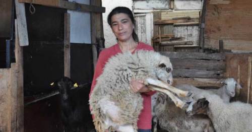 Eskişehir'de babası öldükten sonra 60'ına da sahip çıktı	