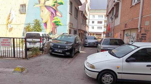 Eskişehir'de Bağlar Mahallesi'nde park krizi yaşanıyor!