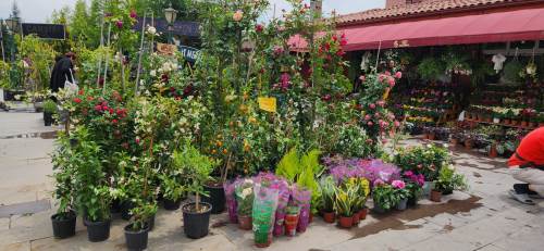 Eskişehir'de bahçenizi güzelleştirmek için o parayı gözden çıkarın!