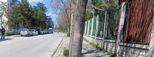 Eskişehir'de bakımsız görüntü dikkat çekti