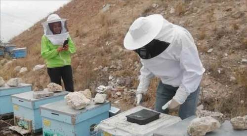 Eskişehir'de bal üretimi yüzleri güldürdü