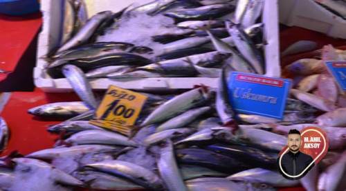 Eskişehir'de balık fiyatları cep yakıyor! İşte sebebi