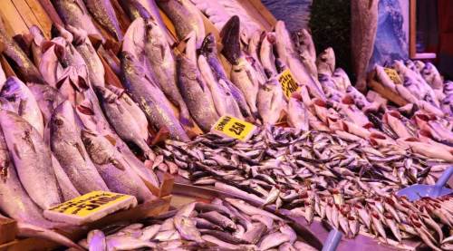 Eskişehir’de balık fiyatları soğuk havadan nasibini aldı!