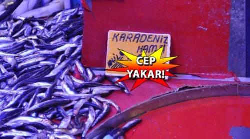 Eskişehir'de balık fiyatlarını gören kaçıyor