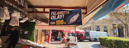 Eskişehir’de balık severlere müjde: Palamut 100 TL