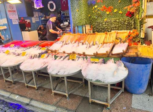 Eskişehir’de balık tezgahlarına sıcak önlemi