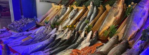 Eskişehir'de balıkçı esnafı dertli!