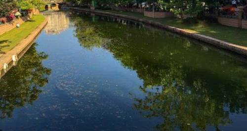 Eskişehir'de başkan inceledi: Porsuk Çayı kendine gelecek