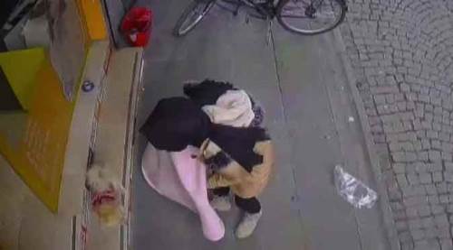 Eskişehir'de battaniyeli köpek hırsızlığı!