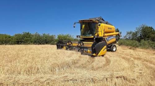 Eskişehir'de bereketli bir sezon kapıda! 