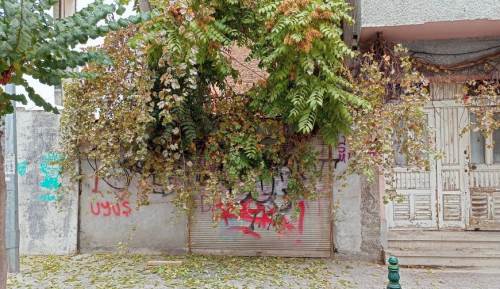 Eskişehir’de betonların arasından çıkan güzellik!