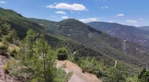 Eskişehir'de binlercesi yok olacak: Bakanlık onay verdi!