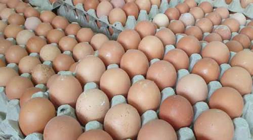 Eskişehir'de bir ayda yüzde yüz zam!