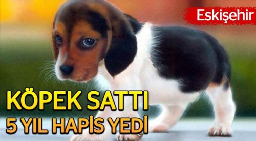 Eskişehir'de bir vatandaş köpek sattı başına iş aldı