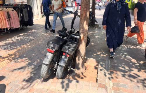 Eskişehir'de bisiklet park sorunu ağaçlara zarar veriyor