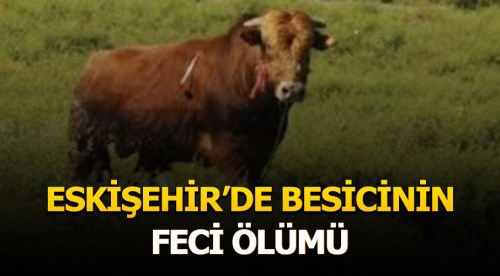 Eskişehir'de boğa besicisini öldürdü