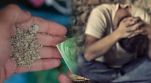 Eskişehir'de bonzai yine can aldı