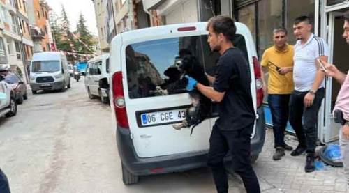 Eskişehir'de boş dükkandan sesler gelince...