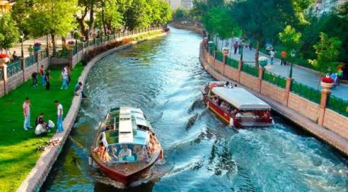 Eskişehir'de bot seferi neden olmasın: İşte proje çağrısı...