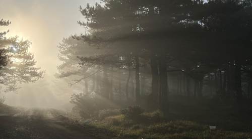 Eskişehir’de Bozdağ’ı kaplayan sis doğa tutkunlarını büyüledi!