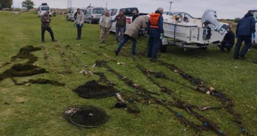 Eskişehir'de bu bilinçsizliğe son verilmeli: Telef oldular!