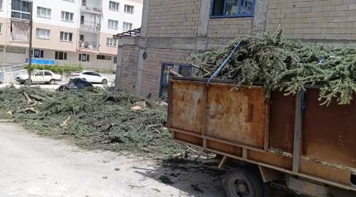 Eskişehir'de bu durumu açıklayacak biri var mı?