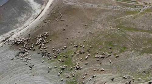 Eskişehir'de bu görüntü onları karşı karşıya getirdi