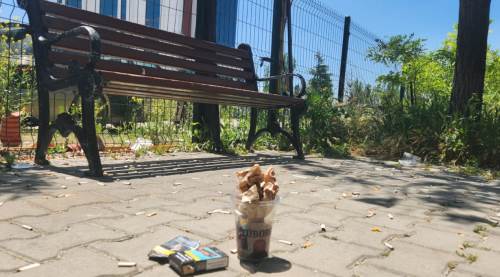 Eskişehir'de bu görüntüler pes dedirtti!