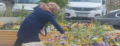 Eskişehir'de bu güzelliği 'koparmadan' duramıyorlar