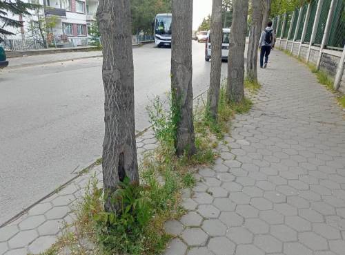 Eskişehir'de bu kaldırımlar bakım bekliyor